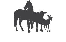 Equine and Livestock